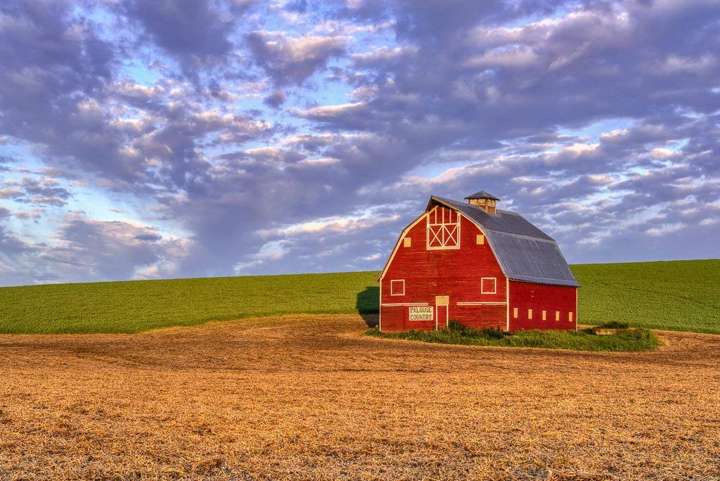 Palouse Country Barn. Fine Art Rural 
