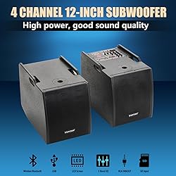 EXOTON EXOTON LVP-212 12-inch Active Line Array