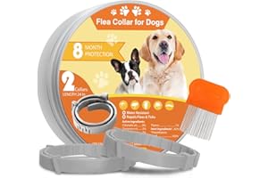 QUIVANTA Dog Flea and Tick Collar 2 Pack – 8-Month Waterproof Protection, 123456789