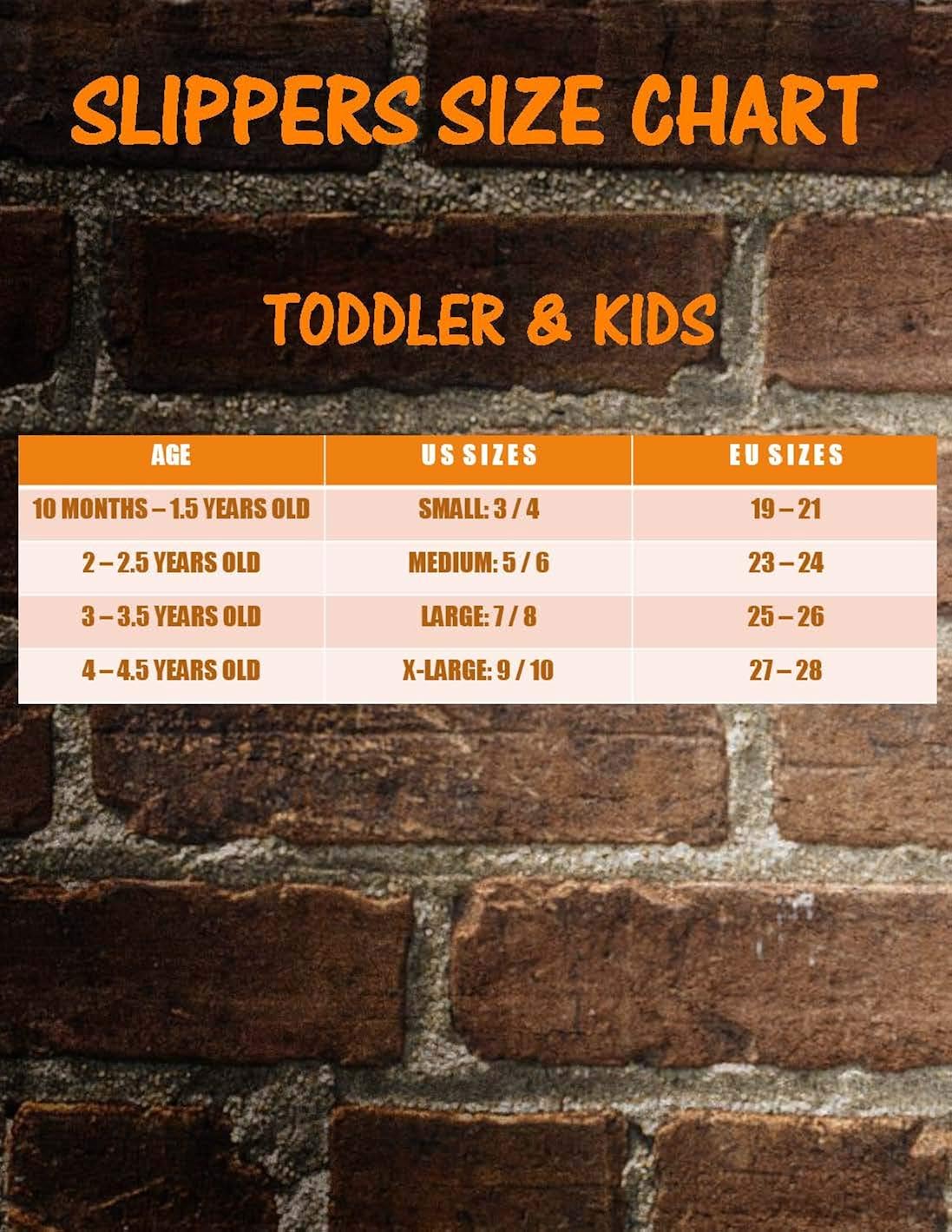 daniel tiger slippers