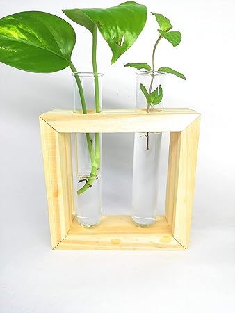 ANGIRAS Wall Hanging Flower Bud Vase Testube Plant Holder Terrarium Perfect for Propagating Hydroponic Plants