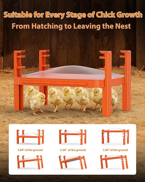 CHICK BROODER BOX HEAT PLATE,CHICKEN COOP HEATER WITH TEMPERATURE SENSOR – HEATING PANEL FOR BABY CHICKS – CHICKENS WARMER FOR WINTER – RADIANT HEATERS BROODING FOR OUTDOOR POULTRY (ORANGE)