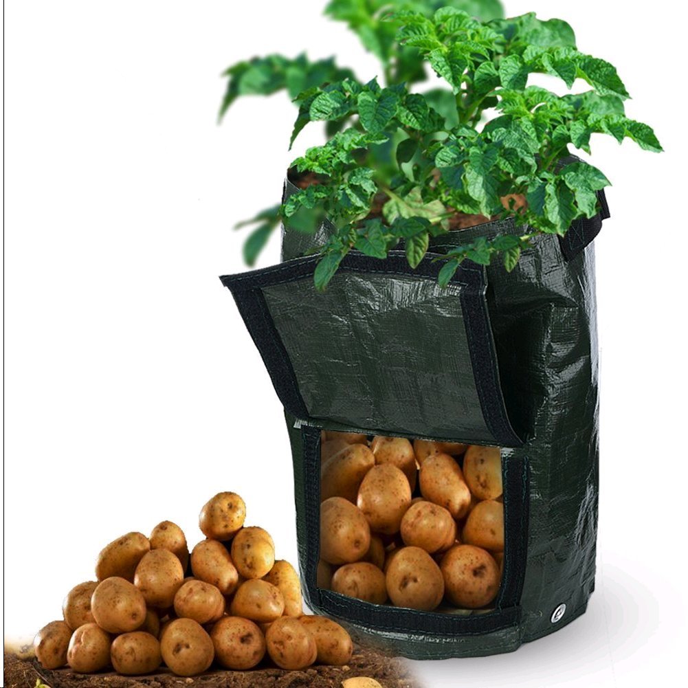 2 pezzi giardinaggio Spring secchio, da giardinaggio Trash Lawn Leaf bag, Grow bag, borse, vaso con rifiuti di giardino, piscina giardino foglia sacchetto dei rifiuti (10 litri)