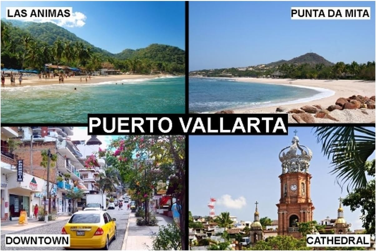 SOUVENIR FRIDGE MAGNET - PUERTO VALLARTA MEXICO 3½ x 2½ inches Jumbo