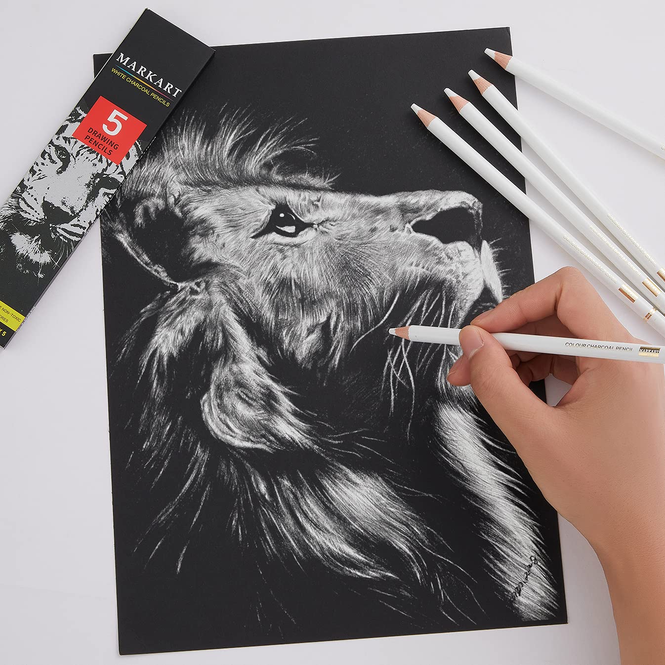 MARKART Professional White Charcoal Pencils Set, 5 Pieces Sketch Highlight Charcoal Pencils for Drawing, Sketching, Shading, Blending, White Chalk Pencils for Beginners & Artists
