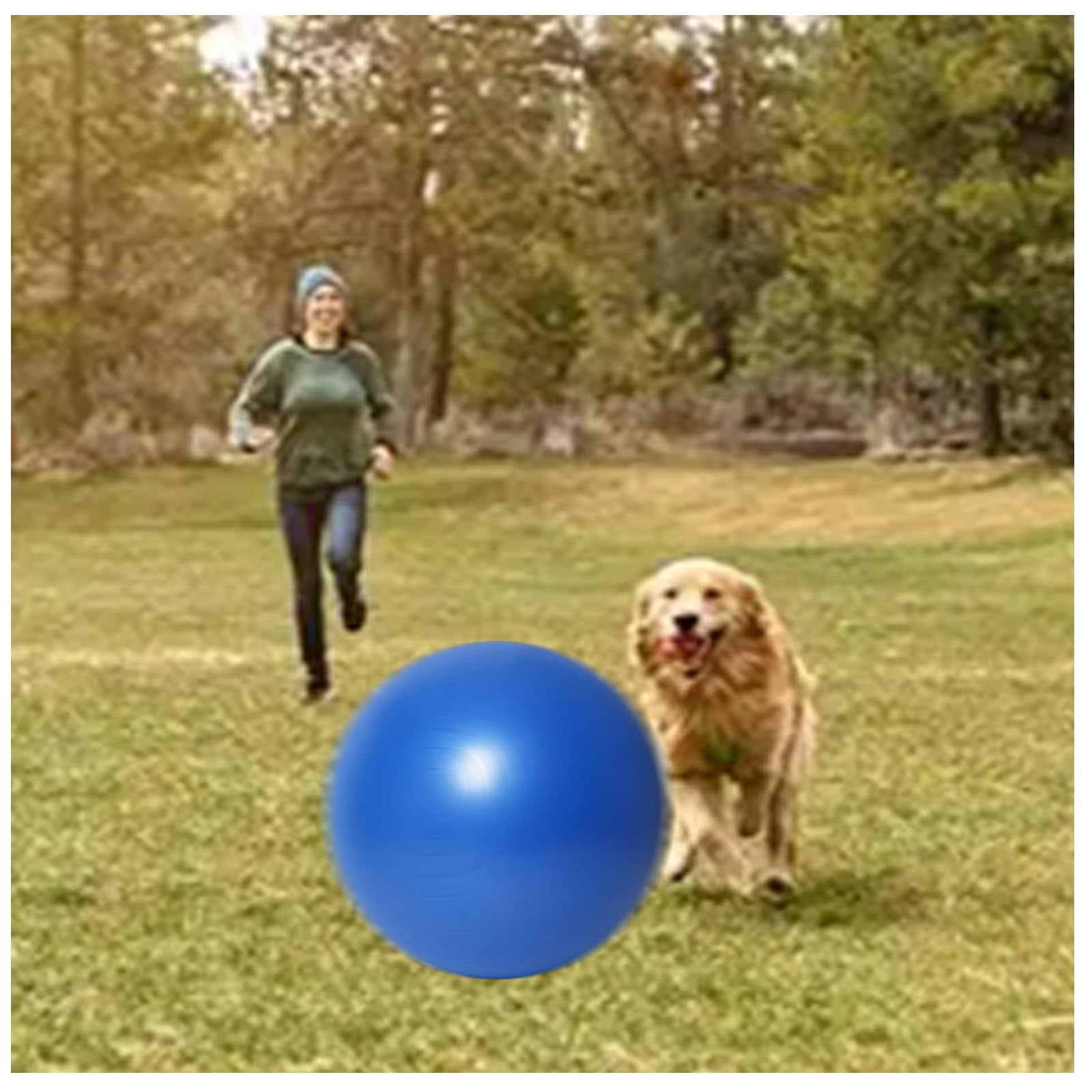 Photo 1 of liguanlan 25 in Herding Ball for Dogs:Blue,Thickness 4mm, Weight 4.9 lb, Soft Material to Protect Dogs from Injury