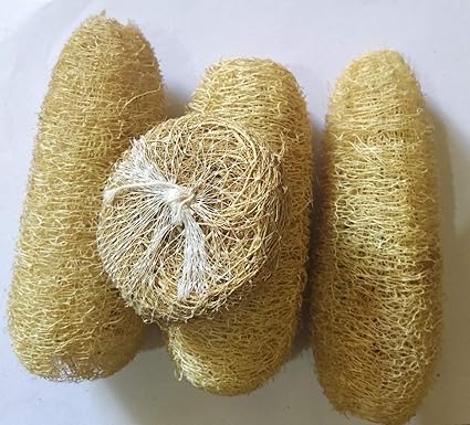 Vaibhav 3 Pieces 100% Natural Organic Body Scrubber Loofah for Body Bath Scrubber(3 Pieces, 10 to 15cm Length and Excellent Colour) complement of 1 Pieces of Ramacham(Vettiver) Scrubber Free