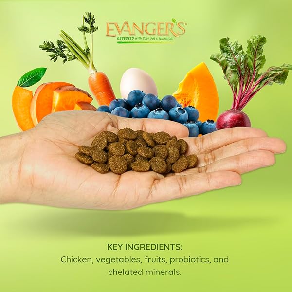 EVANGER’S GRAIN FREE CHICKEN WITH SWEET POTATO & PUMPKIN DRY FOOD FOR DOGS – 16.5 LB BAG – DEBONED CHICKEN, OMEGAS 3 & 6, PROBIOTICS – ALL LIFE STAGES FORMULA