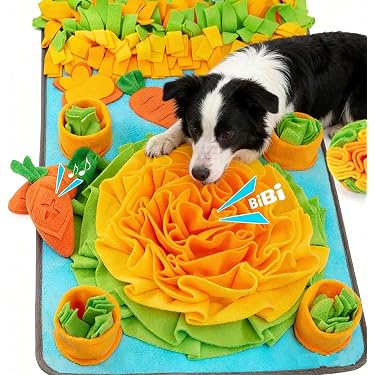 Amazon.com New Releases: The best-selling new & future releases in Dog  Feeding Mats