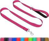 Taglory Dog Leash 2 cm x 180 cm Reflective Padded Handle Pink