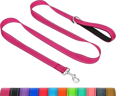 Taglory Dog Leash Small Medium Reflective Padded Handle 2cm x 120cm Hot Pink
