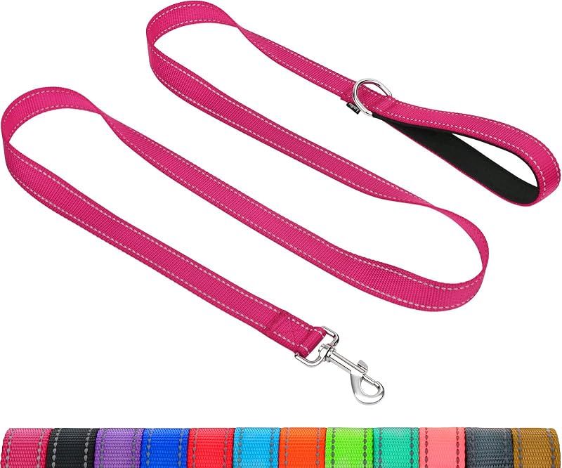 Taglory Dog Leash 2 cm x 180 cm Reflective Padded Handle Pink