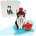 PopLife® Playful Cat Pop Up Card, 3D Card For All Occasions - Cat Lover Card, Funny