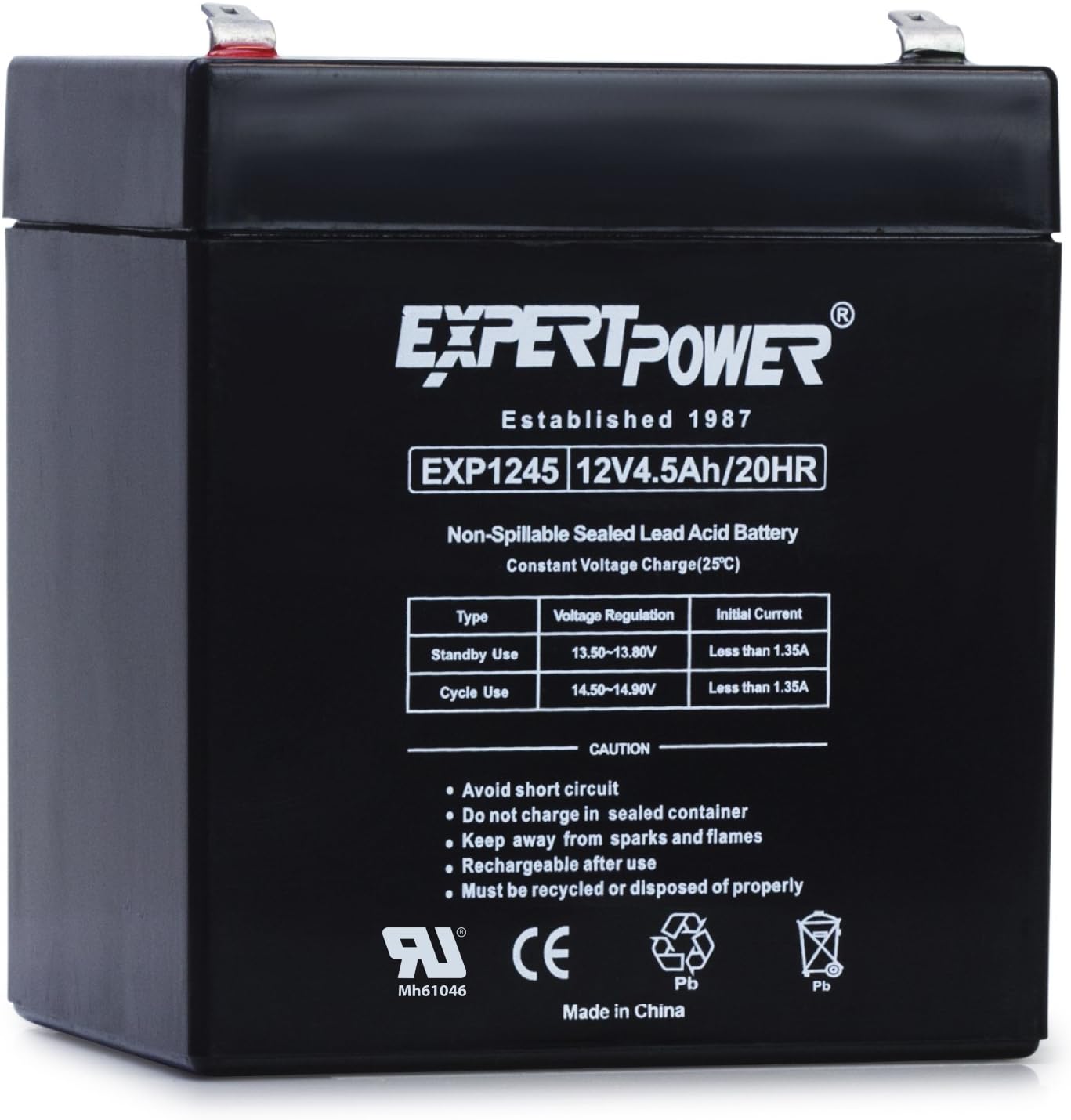 ExpertPower EXP1245 Home Alarm Security Battery Replacement Black 12V 4.5AH Absorbent Glass Mat 1 pack: Automotive