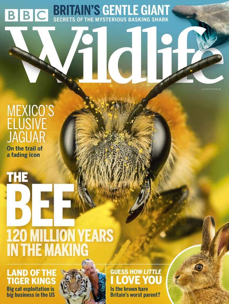 BBC Wildlife Magazine Amazon.co.uk Kindle Store