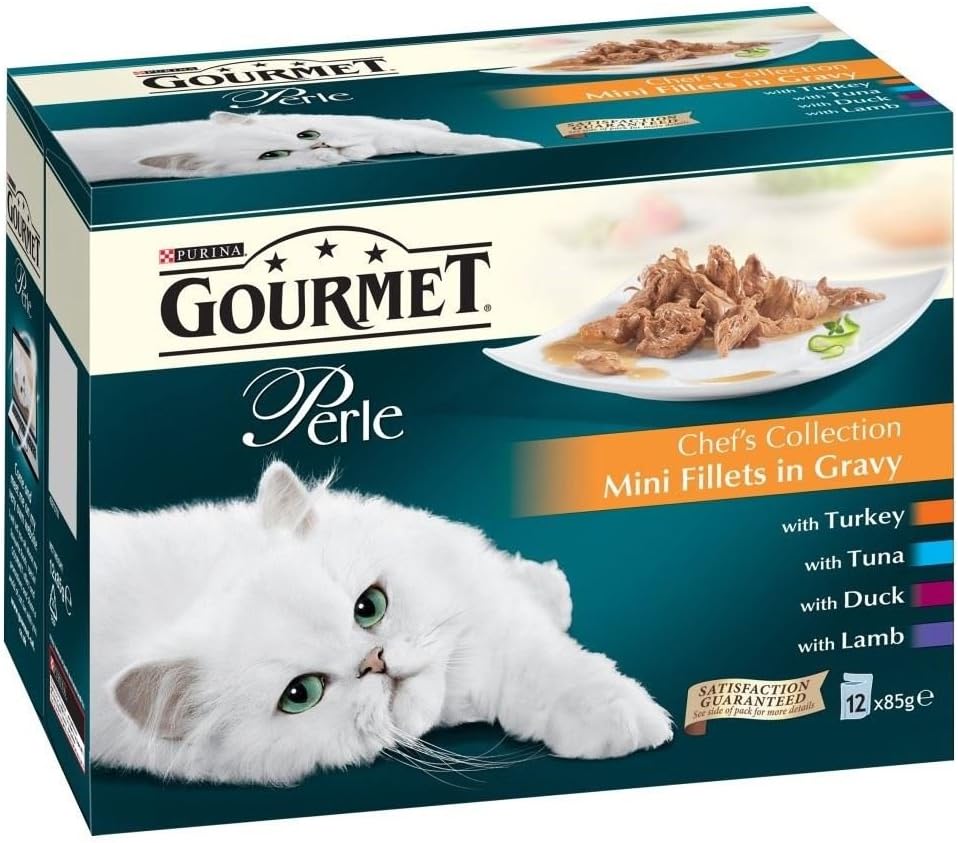 what's the fastest dog in the world