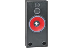 BIC AMERICA RTR-1530 15-Inch 3-Way Floor Standing Speaker (BIC AMERICA RTR1530)