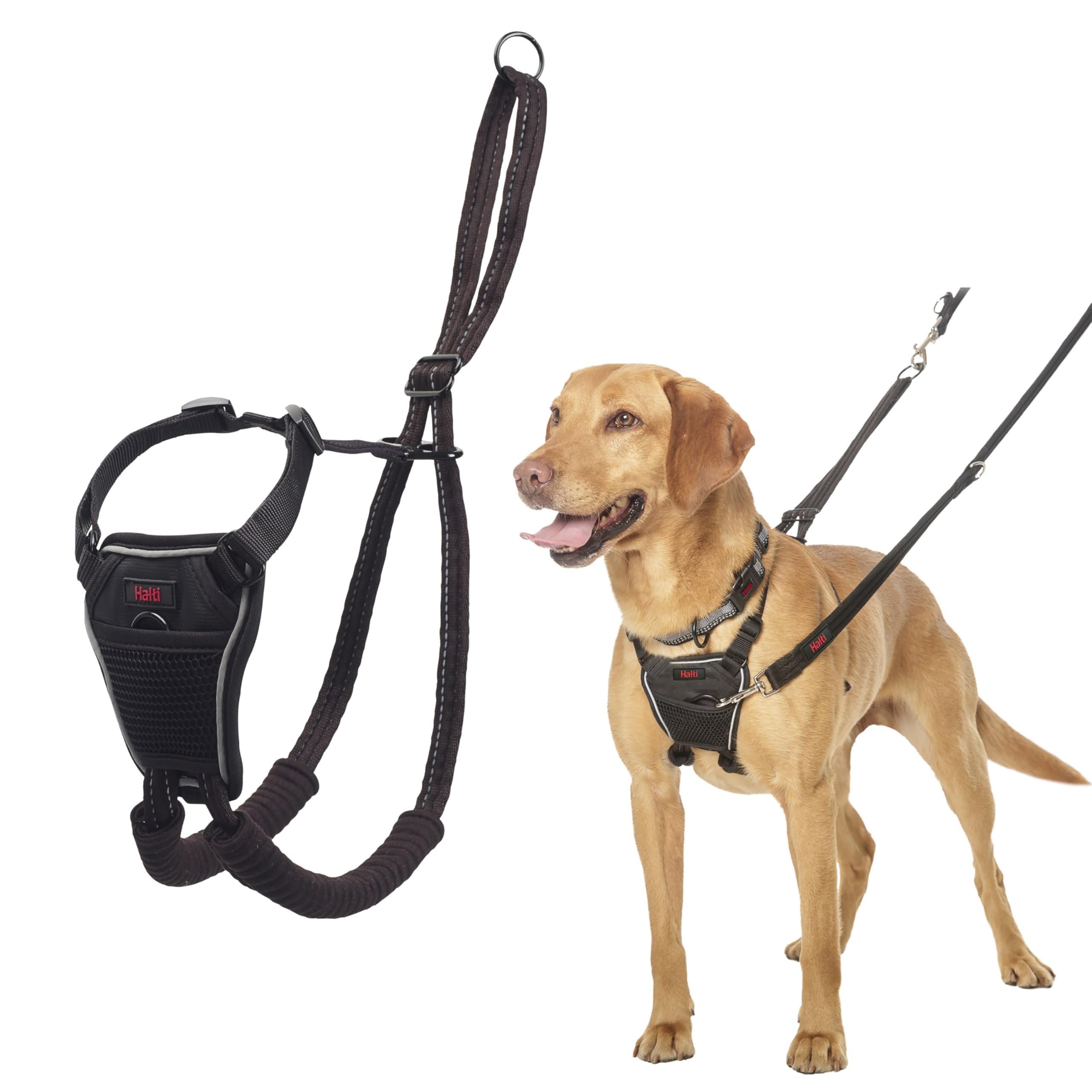 Photo 1 of Halti No Pull Harness - Stop Your Dog Pulling on the Leash. Adjustable, Lightweight and Easy to Use. Reflective Dog Training Harness for Medium Dogs (Size M, Black)