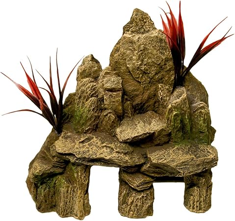 spring valley farm dog care