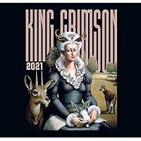洋楽 King Crimson / Radical Action RADICAL ACTION TO UNSEAT THE HOLD OF MONKEY MIND