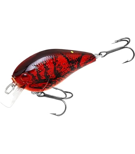 Amazon.com : LUCKY CRAFT LC 1.0 Silent Crankbait Fishing