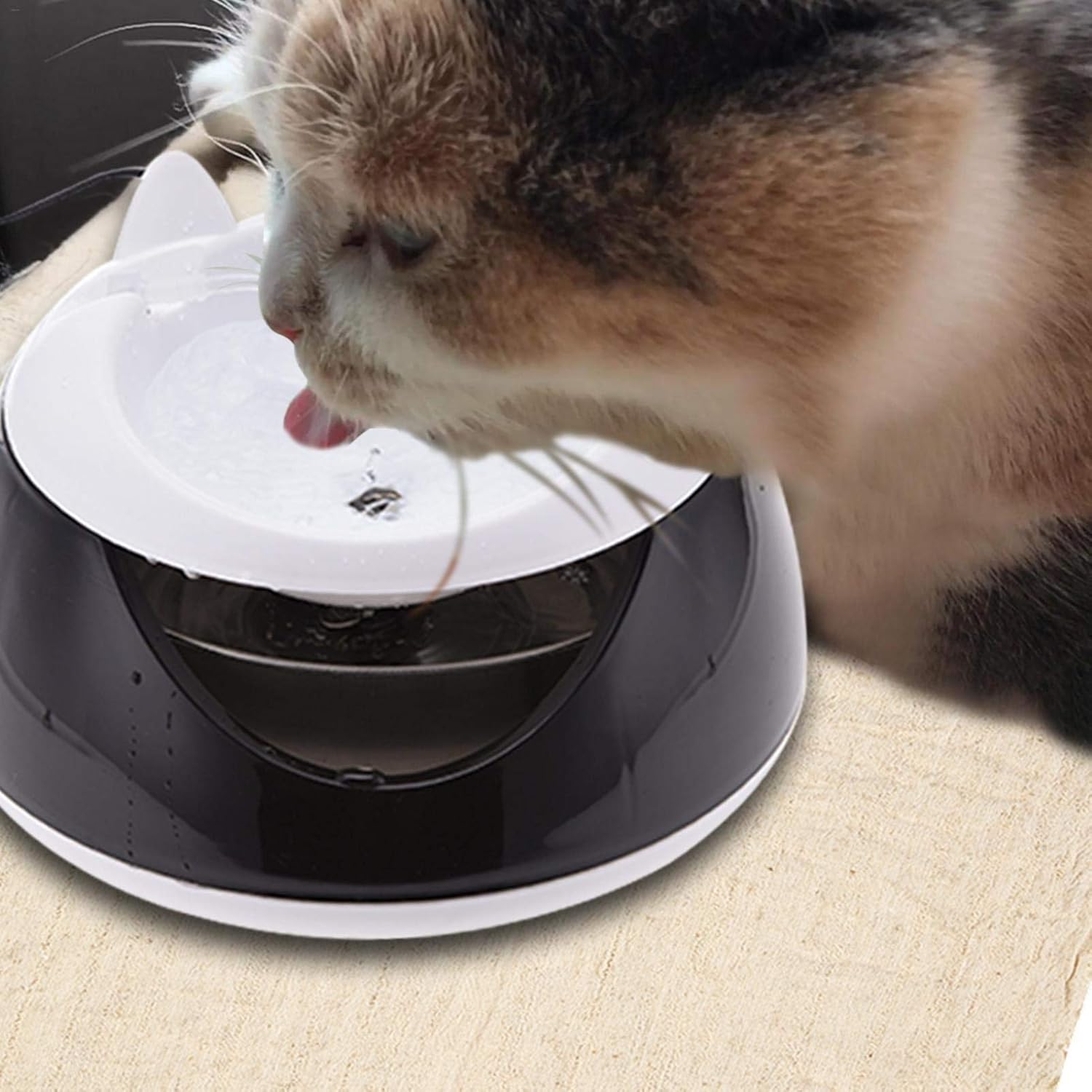 cat bottle feeder
