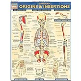 Muscular Origins &amp; Insertions: QuickStudy Laminated Reference Guide (Quick Study Academic)