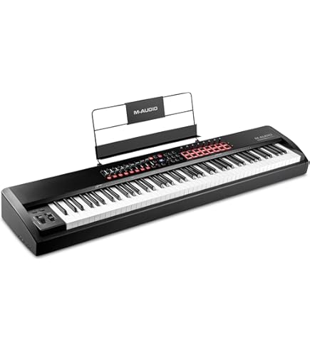 DTM・DAW Roland A-88 Roland A-88 MKII 88-Key MIDI Keyboard Controller : Amazon.ca
