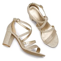 DREAM PAIRS Women’s Ankle Strap Dress Pump Low