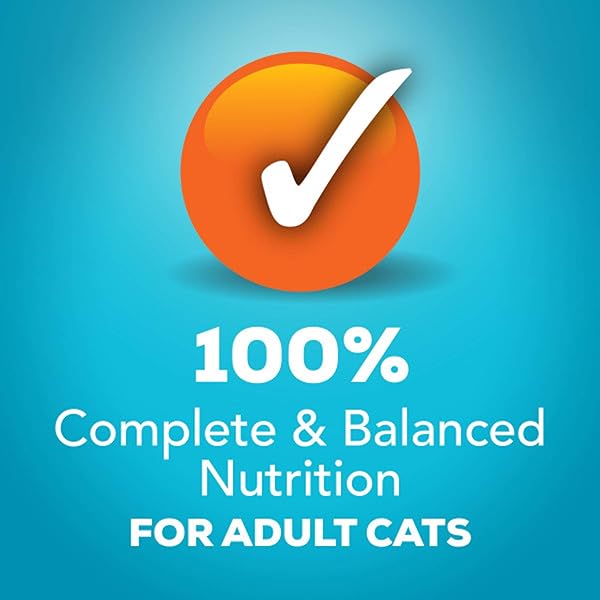 PURINA FRISKIES WET CAT FOOD VARIETY PACK FISH-A-LICIOUS EXTRA GRAVY, PRIME FILETS AND TASTY TREASURES – (PACK OF 32) 5.5 OZ. CANS
