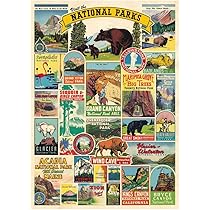 Cavallini Vertical Vintage Poster Kit : Amazon.ca: Home