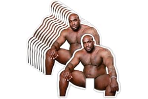 GRIT KULTURE GRITKULTURE Funny Barry Wood Light Switch Decal Sticker 10 Pack for Wall Mural Prank and Decoration Waterproof Vinyl Joking Wall Stickers for Living Room, Car, Computer, Bumper