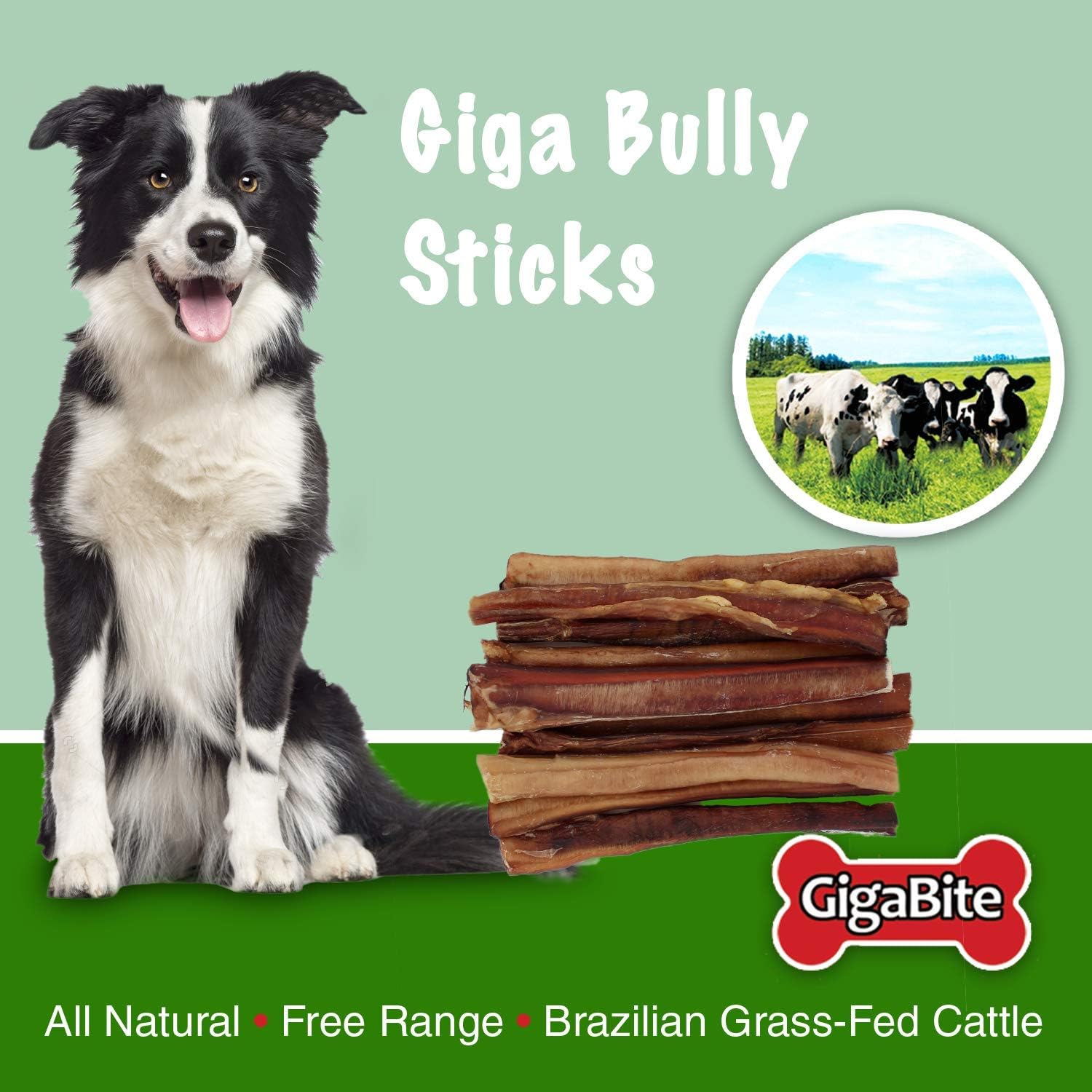gigabite bully sticks