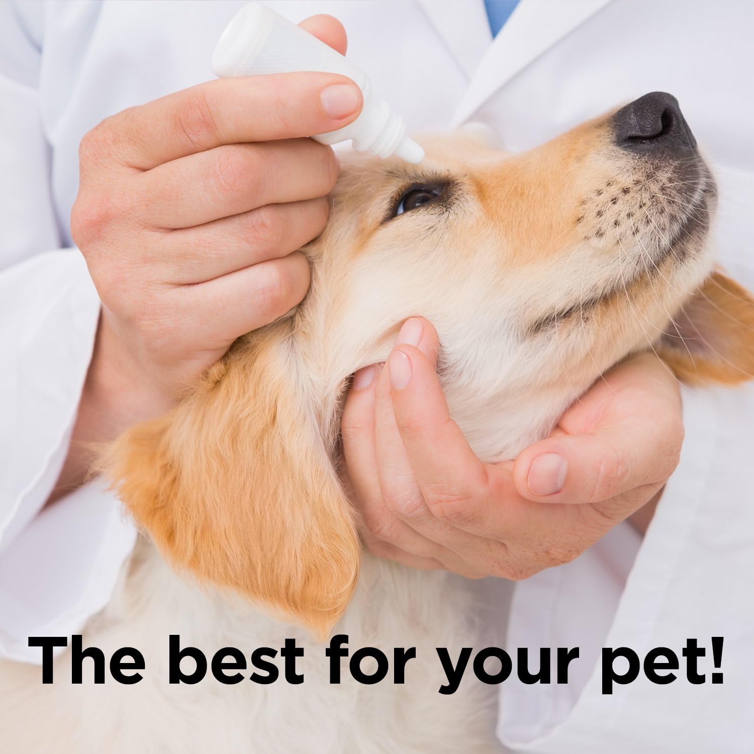 ocluvet eye drops for dogs