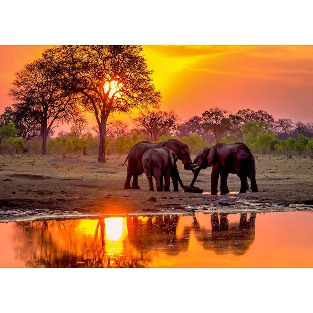 DIY 5D Diamond Art Elephant Kits for Adult Full Drill Diamond Rhinestone Cross Stitch Embroidery Arts Craft Canvas Home Decor-Elephant in Sunset