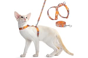Dooradar Cat Harness and Leash, Escape Proof Adjustable Kitten Vest, Lightweight Soft Pet Straps, Easy Wearing for Small Medium Kitty Safe Walking Travel Control, Orange & Black, S