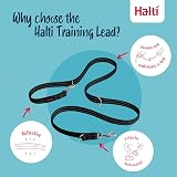 Halti Training Lead Double-Ended No-Pull Large Black 2m - Lightweight Durable view 4