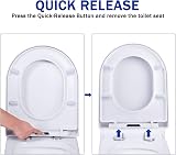 Meero London D Shape Soft Close Toilet Seat Quick Release Anti-bacterial view 3