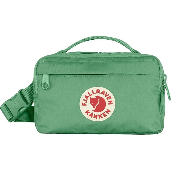 Amazon.com: Fjallraven Unisex Singi Hip Pack 10 Sports backpack
