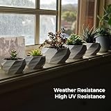 Flashforge ASA Filament 1.75mm 1kg Outdoor UV Resistant Natural view 3