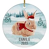 Santa Hat and Scarf Welcome Winter Red Rabbit