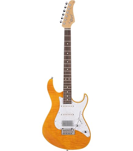 Amazon.com: Cort KX100-BKM Electric Guitarra Black Metallic
