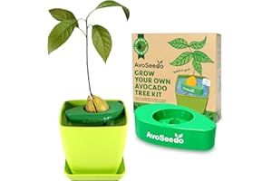 AvoSeedo Avocado Tree Growing Kit with Pot, Green, Practical Gifts for Women, Mom, Sister, Best Friend & Kids, Plant Indoors with Novelty Pit Grower Boat & Kitchen Garden Seed Starter
