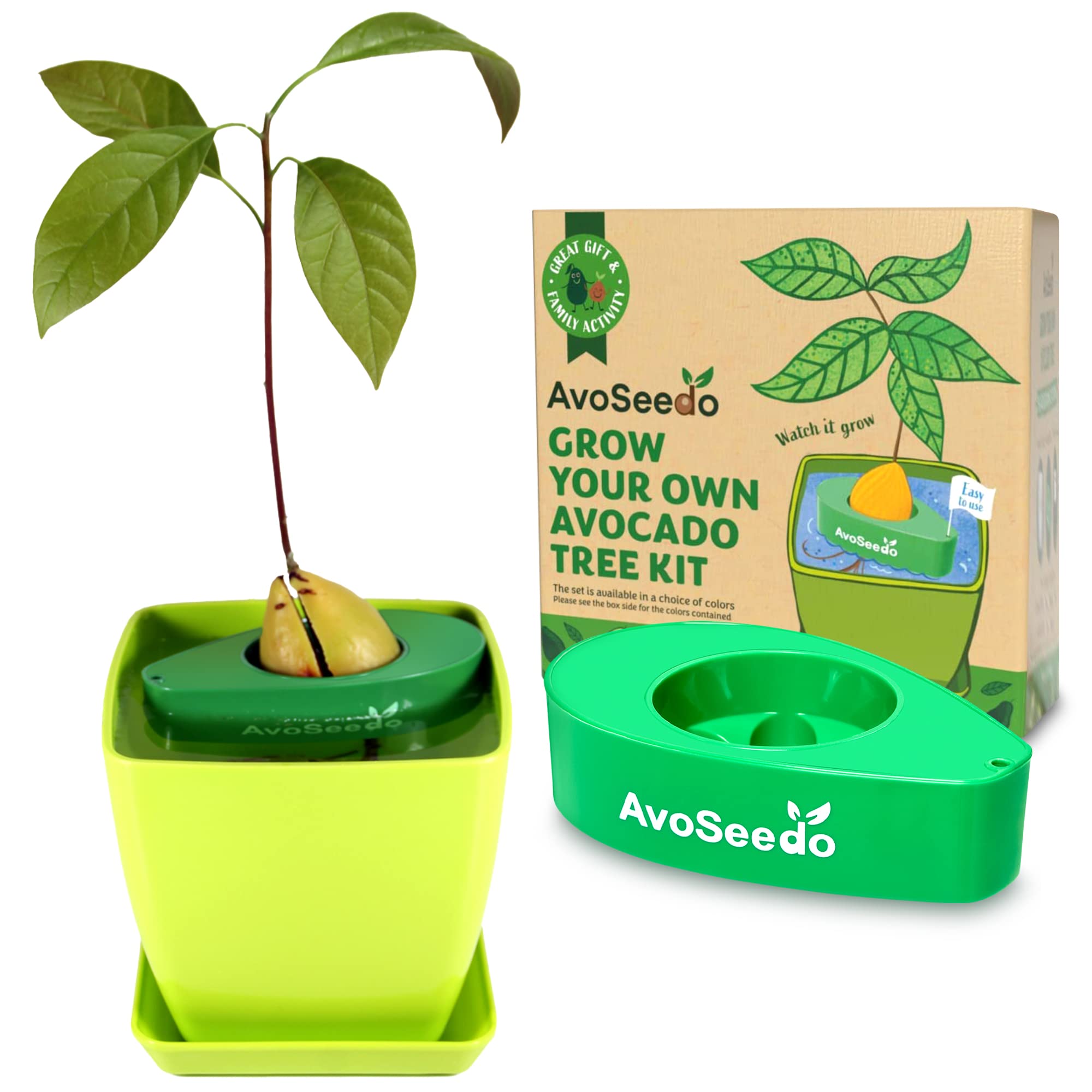Grow Your Own Avocado Tree Kit - Unusual Gardening Gifts for Women and Men, Outdoor Indoor Plant, Home Decorations Accessories, Allotment Gifts for Her with Plant Pot