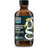 Gaia Herbs Bronchial Wellness Syrup - Respiratory Support Supplement to Help Maintain Lung Health & Help Provide Comfort for Occasional Dry Cough* - 5.4 Fl Oz (Up to 32 Servings)