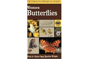 A Field Guide to Western Butterflies