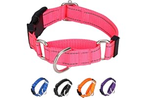 BXPAW Martingale Collar for Dogs,Reflective No Pull Dog Collars with Quick Release Buckle,Adjustable Nylon Martingale Dog Collar for Walking Training(Hot Pink, Extra Large)