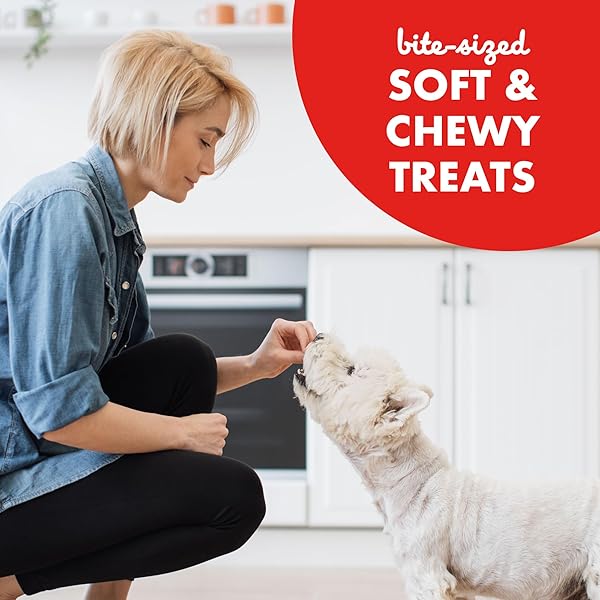 BUDDY BISCUITS TRAINERS TRAINING BITES SOFT & CHEWY DOG TREATS, BEEF, 10 OZ. BAG
