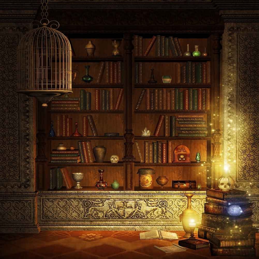 高級ブランド 8フィート X 8フィート エレガントな本棚 Gladsbuy デジタルプリント B073g3j55z Yhb 0 背景 テーマ 本棚 写真背景 バックペーパー背景布 Www Wwmp Org Za