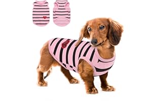 Queenmore Large Dog Shirt,Soft Breathable Dog Shirt for Dogs Cats Boy Girl,Pet Clothes for All Season,Breathable Lightweight Pet Tshirt for Frenchie, Dachshund, Yorkie